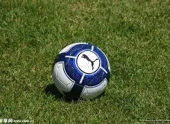 开云体育官,网在线注册,资讯,开云体育,开云体育官网,开云体育app,开云体育平台,KAIYUN,SPORTS,kaiyun登录入口