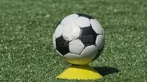 华谊总裁王忠军面临消费限制，欠款高达235万